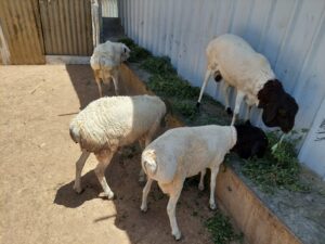 insight-images (1)