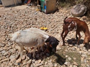 insight-images (2)